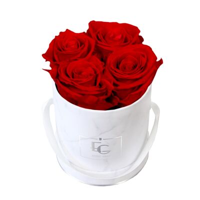 Classic Infinity Rose Box | Vibrant Red | XS