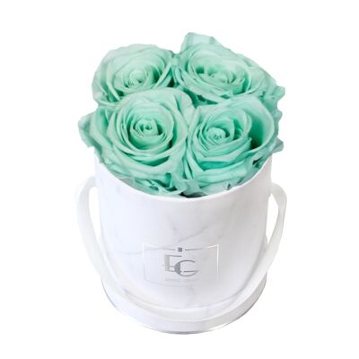 Boîte Rose Infini Classique | Vert Menthe | XS