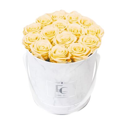 Classic Infinity Rose Box | Champagne | M
