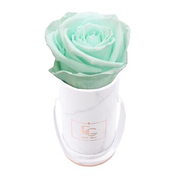 Boîte Rose Infini Classique | Vert Menthe | XXS