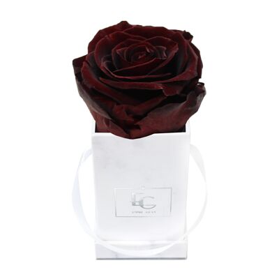 Classic Infinity Rose Box | Burgundy | XXS