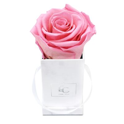 Classic Infinity Rosebox | Bridal Pink | XXS