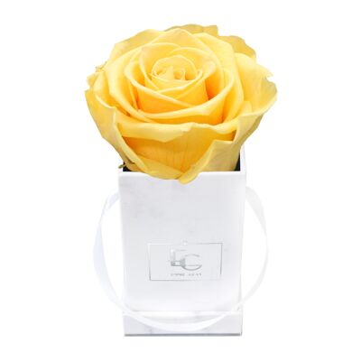 Classic Infinity Rose Box | Perfect Peach | XXS