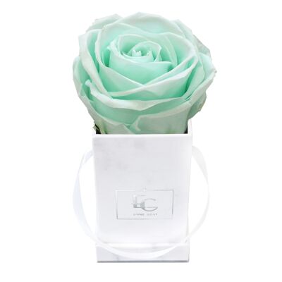 Classic Infinity Rose Box | Minty Green | XXS