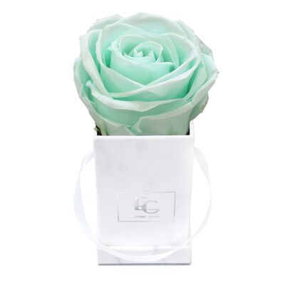 Boîte Rose Infini Classique | Vert Menthe | XXS