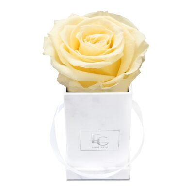 Classic Infinity Rose Box | Champagne | XXS
