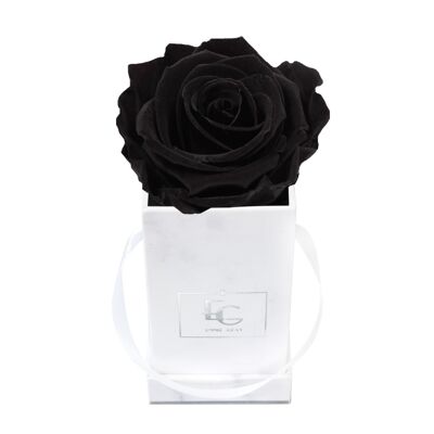 Classic Infinity Rosebox | Black Beauty | XXS