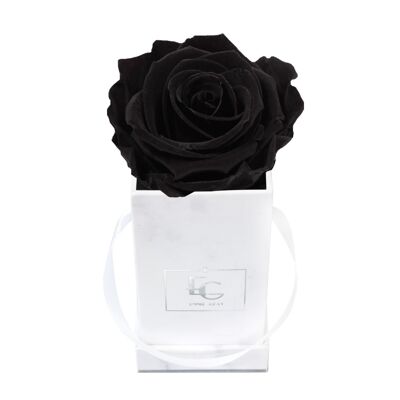 Boîte Rose Infini Classique | Beauté noire | XXS