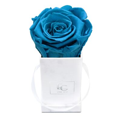 Classic Infinity Rose Box | Aquamarines | XXS