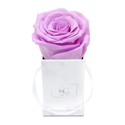Classic Infinity Rose Box | Baby Lili | XXS