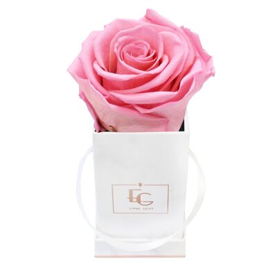 Classic Infinity Rose Box | Bridal Pink | XXS