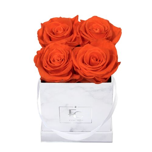 Classic Infinity Rosebox | Orange Flame | XS