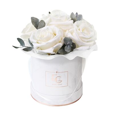 Splendide Rosebox Eucalyptus Infinity | Blanc pur | XS