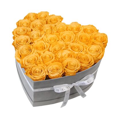 Classic Infinity Rose Box | Perfect Peach | L