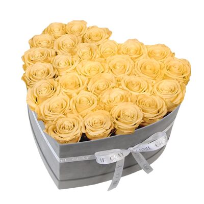 Classic Infinity Rose Box | Champagne | L