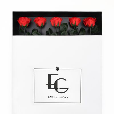 Long Stem Infinity Rose | Vibrant Red | 5 Roses