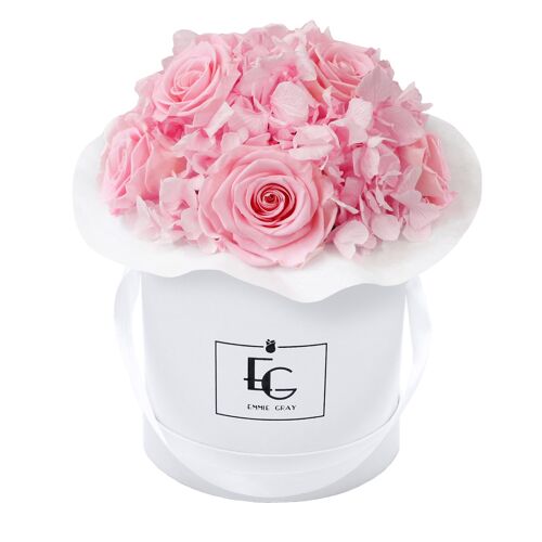 Splendid Hydrangea Infinity Rosebox | Bridal Pink | S