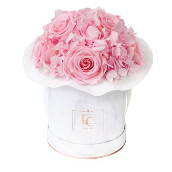 Splendide Hortensia Infinity Rosebox | Rose nuptiale | S