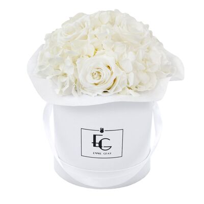 Splendida Ortensia Infinity Rosebox | Bianco puro | S