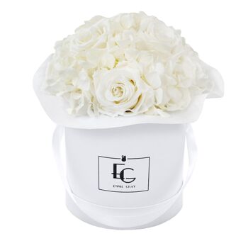 Splendide Hortensia Infinity Rosebox | Blanc Pur | S