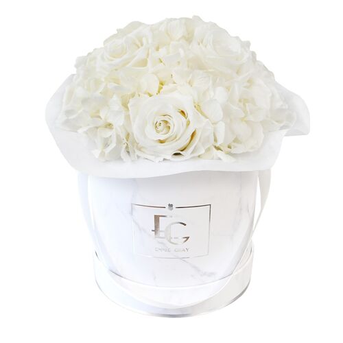 Splendid Hydrangea Infinity Rosebox | Pure White | S