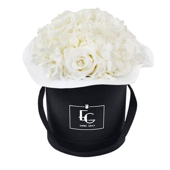 Splendide Hortensia Infinity Rosebox | Blanc Pur | S