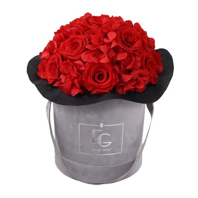 Splendida Ortensia Infinity Rosebox | Rosso vibrante | M