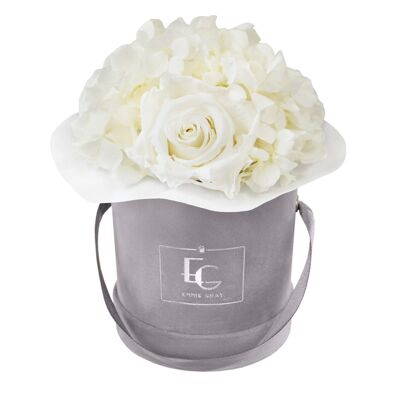 Splendide Hortensia Infinity Rosebox | Blanc pur | XS