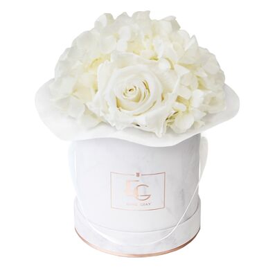 Splendida Ortensia Infinity Rosebox | Bianco puro | XS