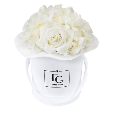 Splendid Hydrangea Infinity Rosebox | Pure White | XS