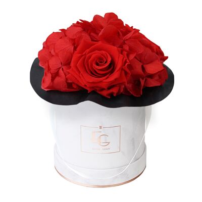 Splendida Ortensia Infinity Rosebox | Rosso vibrante | XS
