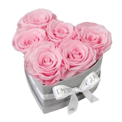 Boîte Rose Infini Classique | Rose nuptiale | S