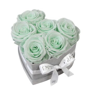 Boîte Rose Infini Classique | Vert Menthe | S