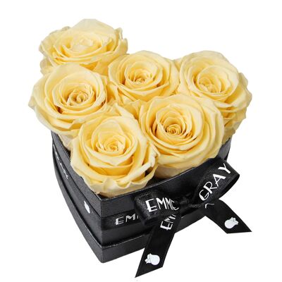 Classic Infinity Rose Box | Champagne | S