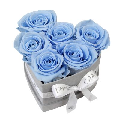 Boîte Rose Infini Classique | Bleu bébé | S