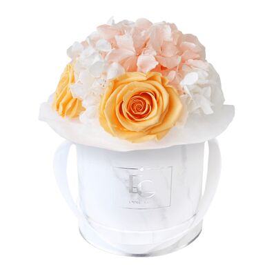 Splendid Hydrangea Mix Infinity Rosebox | Melocotón perfecto y blanco puro | XS