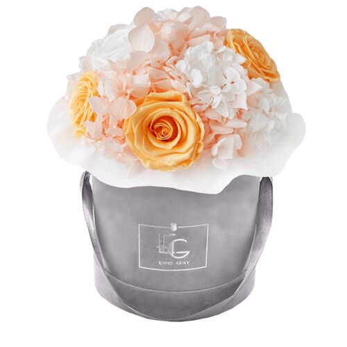 Splendid Hydrangea Mix Infinity Rosebox | Perfect Peach & Pure White | S