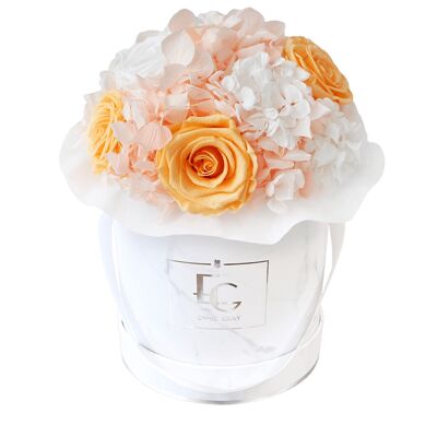 Splendid Hydrangea Mix Infinity Rosebox | Melocotón perfecto y blanco puro | S
