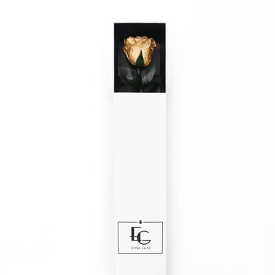 Rose infini à longue tige | or | 1 rose