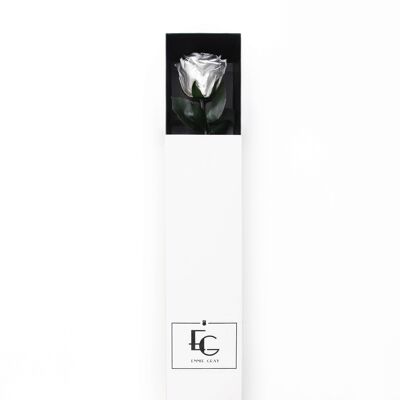 Long Stem Infinity Rose | Silver | 1 Rose
