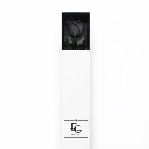 Long Stem Infinity Rose | Black Beauty | 1 Rose