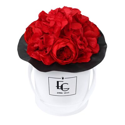 Splendide Rosebox Infinity Pivoine | Rouge vif | XS