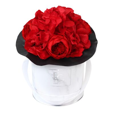 Splendida scatola di rose Infinity Peony | Rosso vibrante | XS