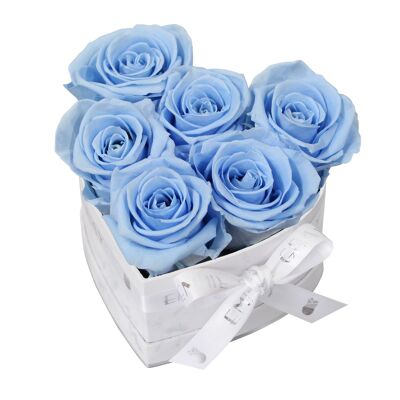 Classic Infinity Rosebox | Baby Blue | S