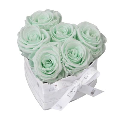 Boîte Rose Infini Classique | Vert Menthe | S