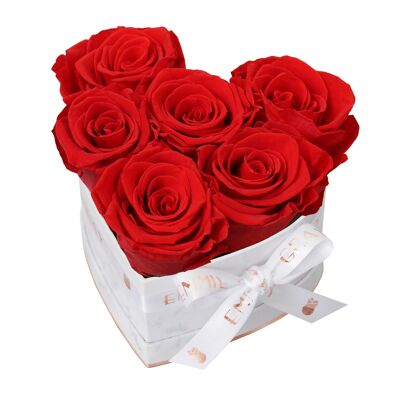 Classic Infinity Rose Box | Vibrant Red | S