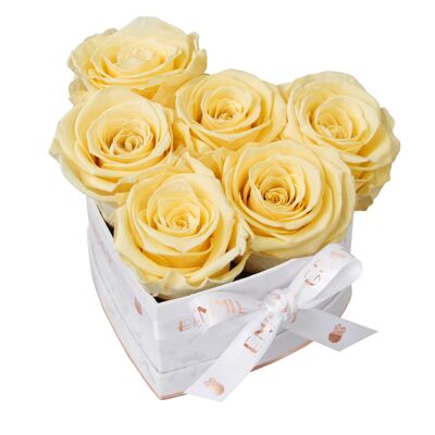 Classic Infinity Rose Box | Champagne | S