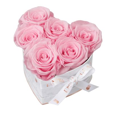 Classic Infinity Rose Box | Bridal Pink | S