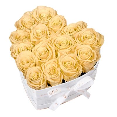 Classic Infinity Rose Box | Perfect Peach | M