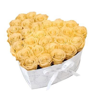 Classic Infinity Rose Box | Champagne | L